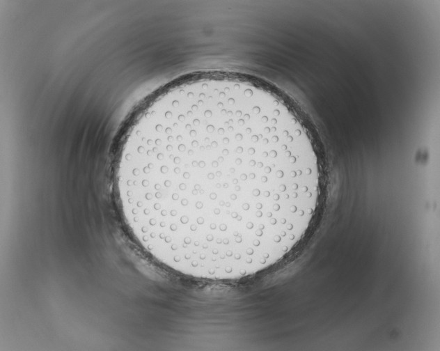X0000111510974200908251109