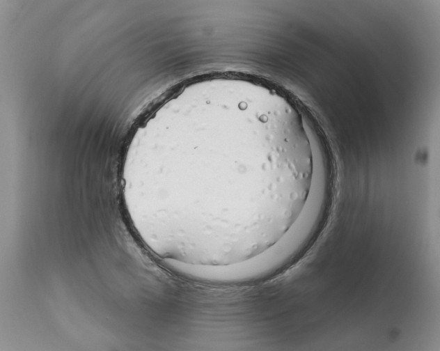 X0000111510977200908251109