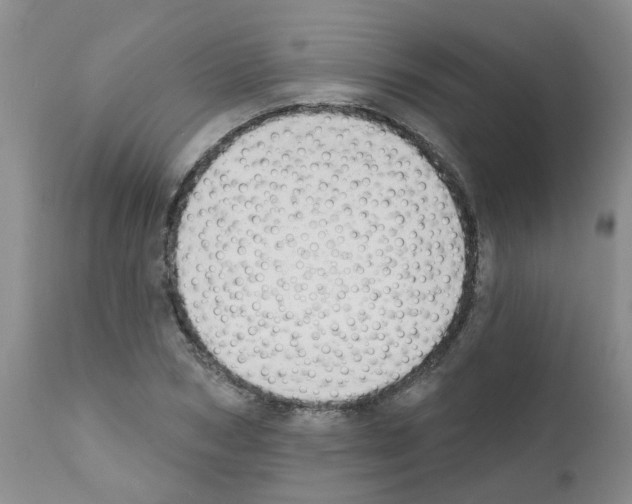 X0000111510978200908251109