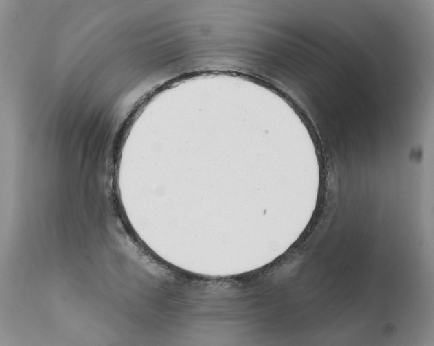 X0000111510979200908251109