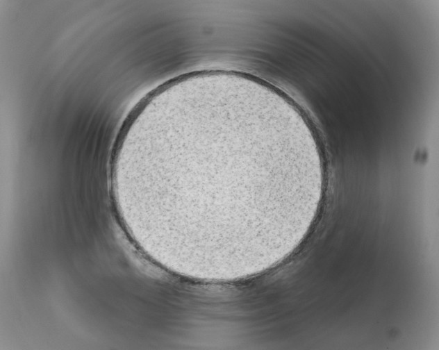 X0000111510980200908251109