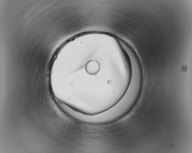 X0000111510981200908251109