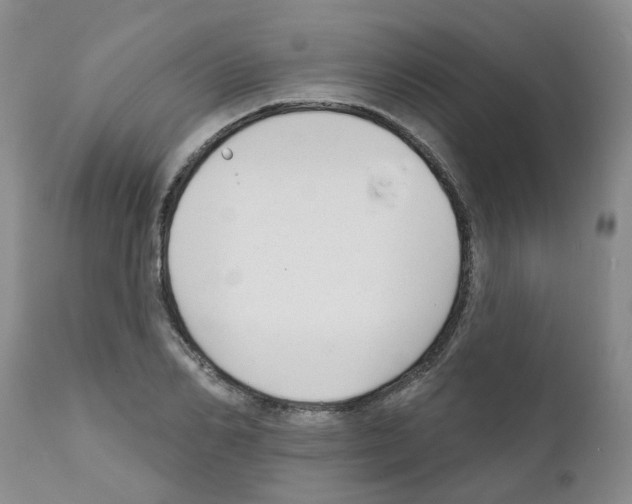 X0000111510982200908251109
