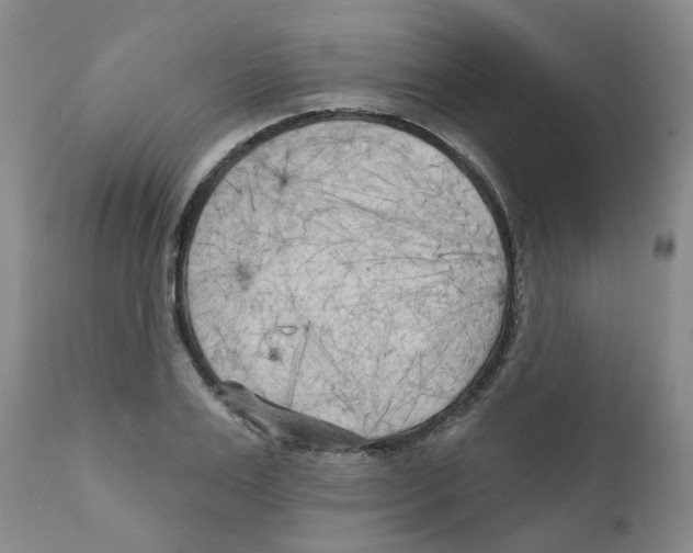 X0000111510983200908251109