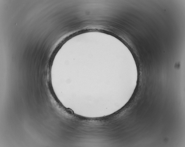 X0000111510984200908251109