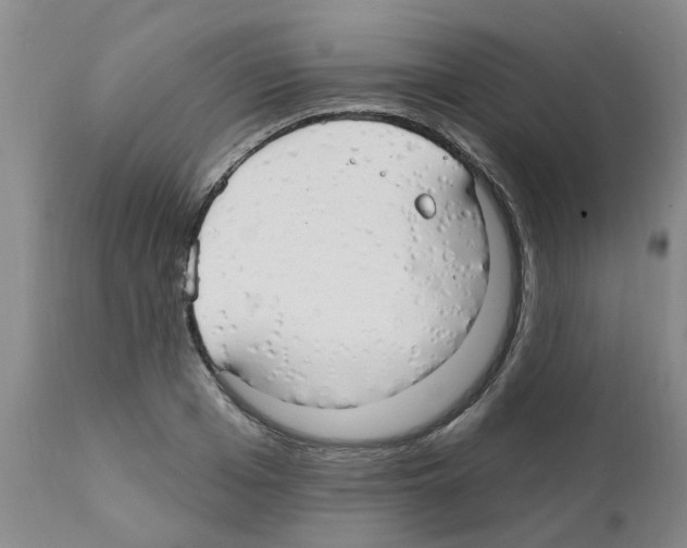 X0000111510985200908251109