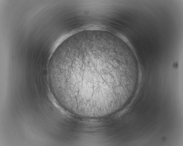 X0000111510986200908251109