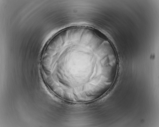 X0000111510989200908251109
