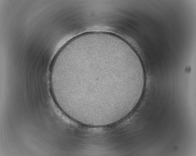 X0000111510990200908251109