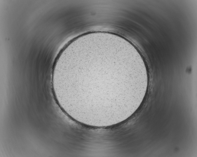 X0000111510992200908251109