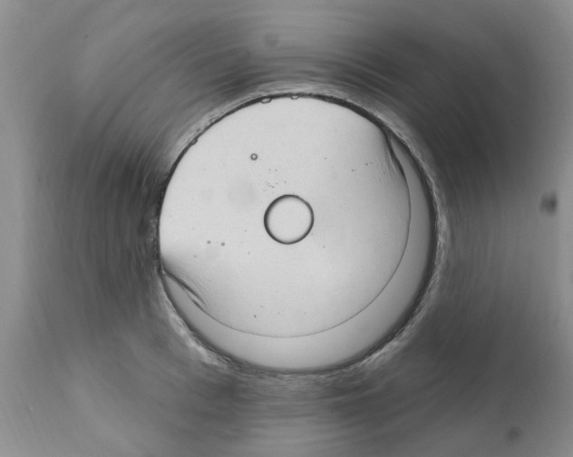 X0000111510993200908251109