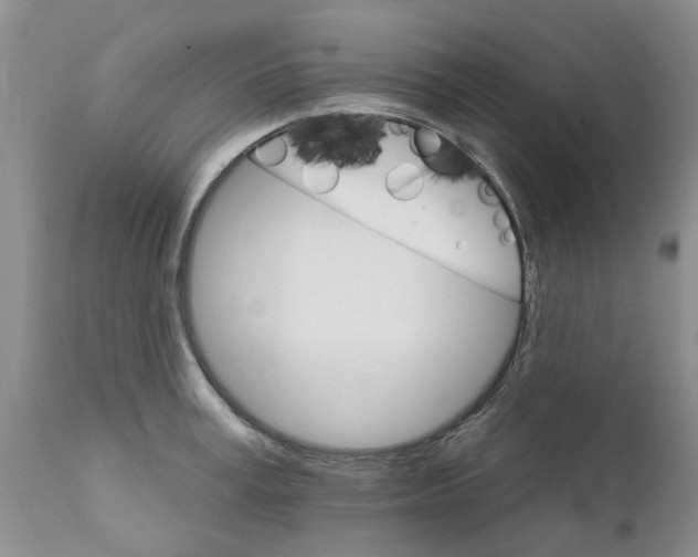 X0000111510995200908251109