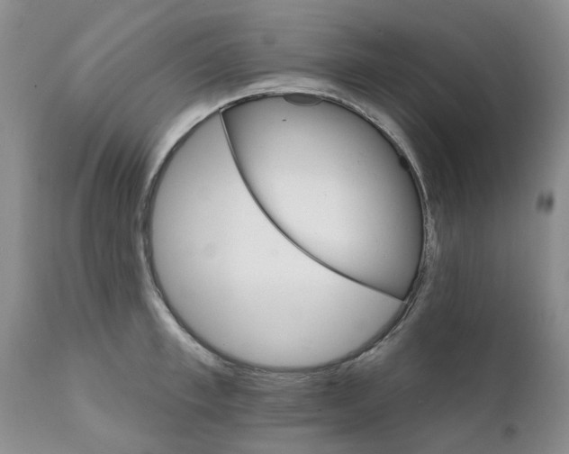 X0000111510997200908251109