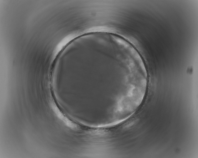 X0000111510998200908251109