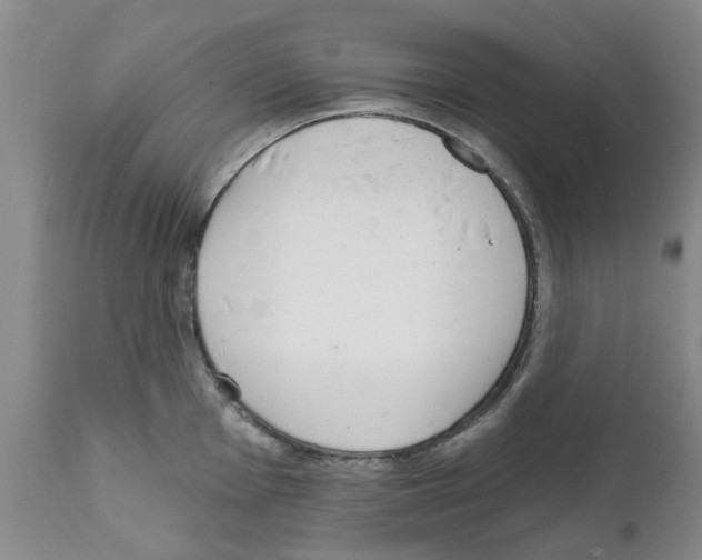 X0000111511001200908251108