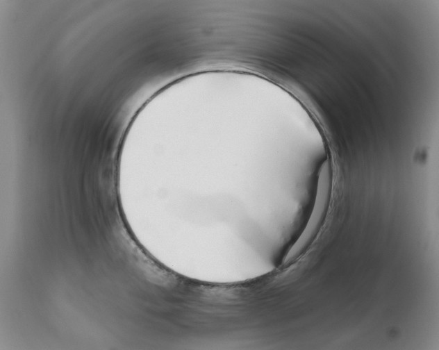 X0000111511004200908251108