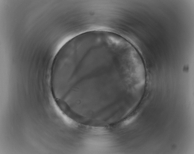 X0000111511007200908251108