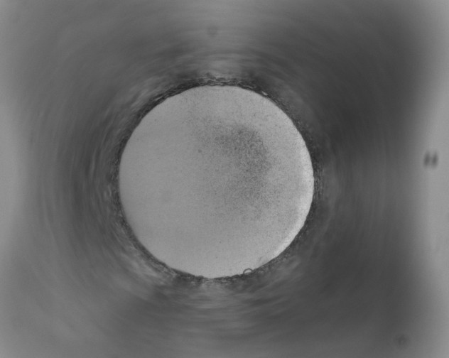 X0000111511009200908251108