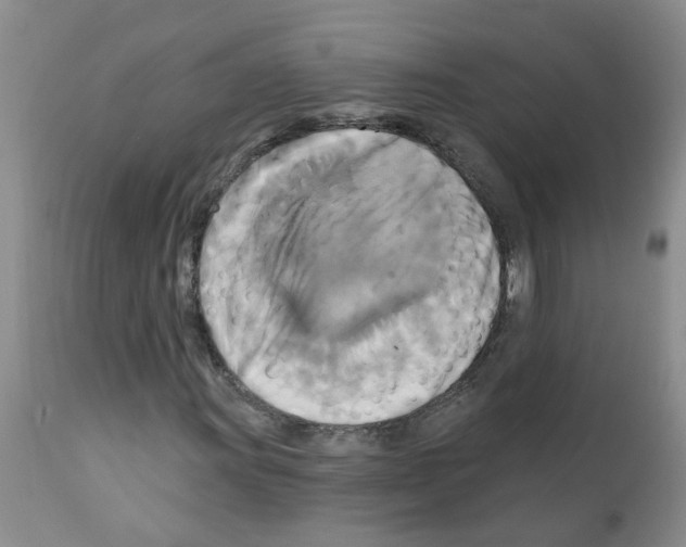 X0000111511011200908251108
