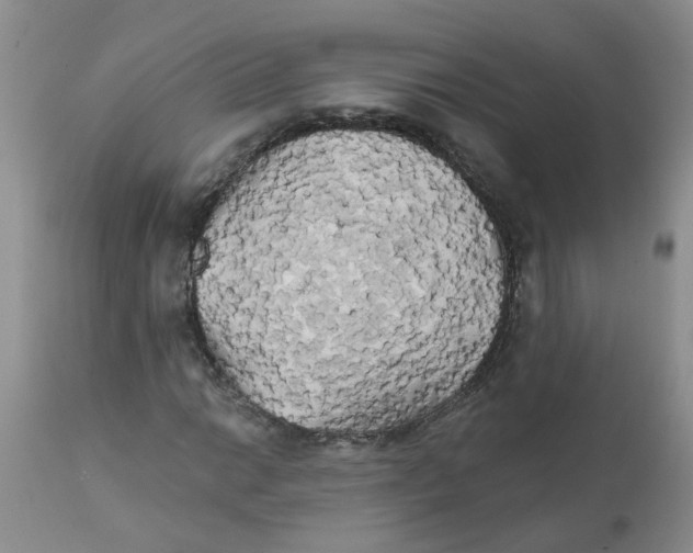 X0000111511014200908251108