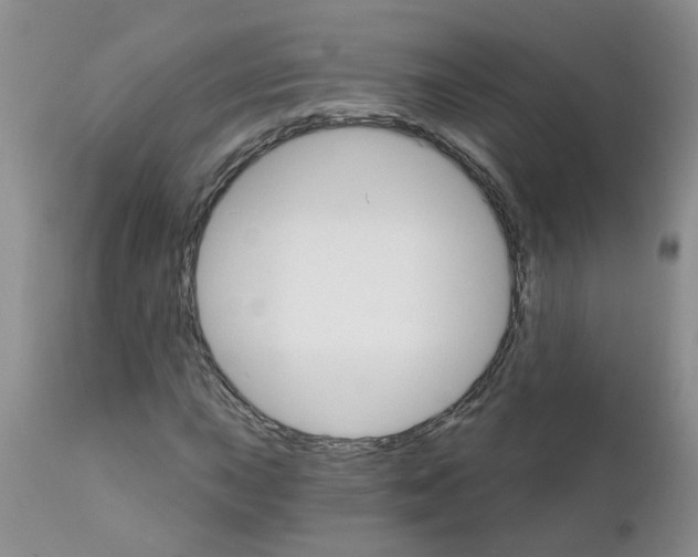 X0000111511015200908251108