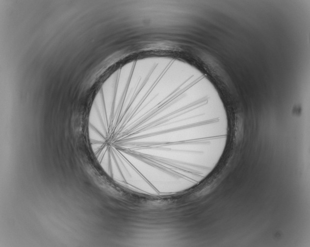 X0000111511017200908251108