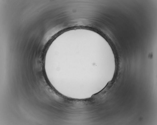 X0000111511018200908251108