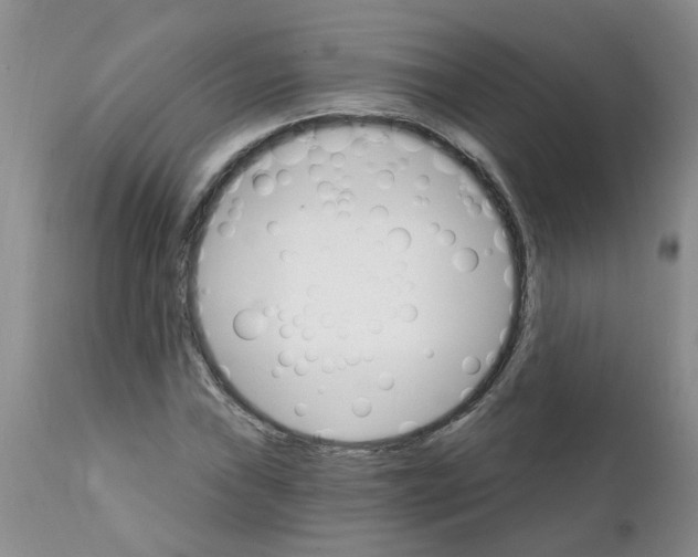 X0000111511019200908251108