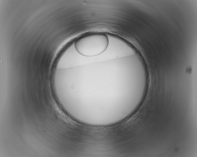X0000111511020200908251108