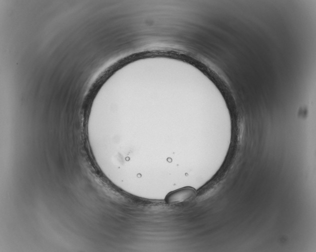 X0000111511021200908251108