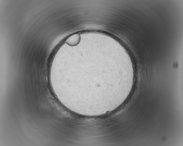 X0000111511022200908251108