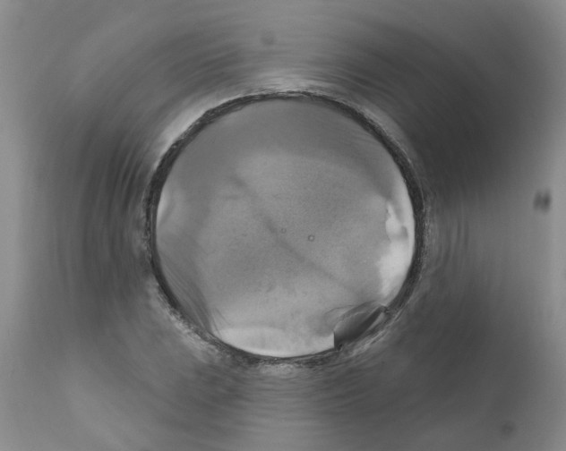 X0000111511023200908251108
