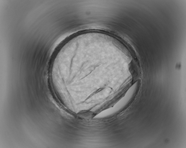 X0000111511024200908251108