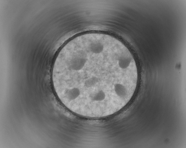 X0000111511025200908251108