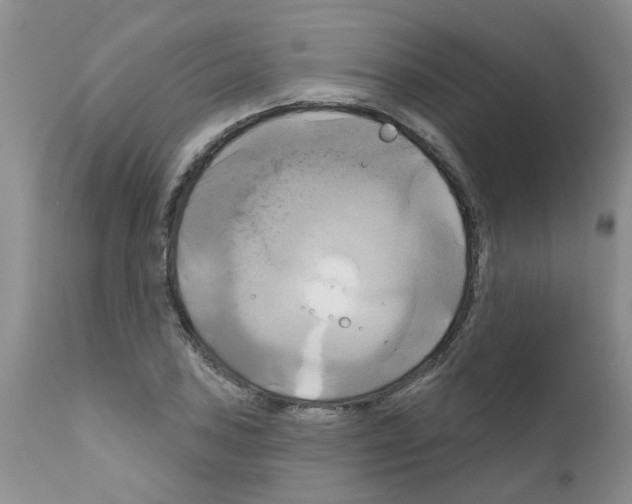 X0000111511027200908251108