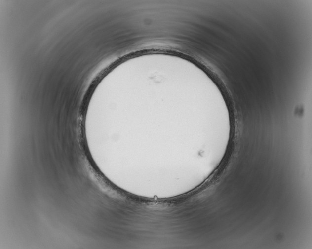 X0000111511029200908251108