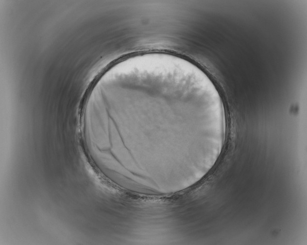 X0000111511031200908251108