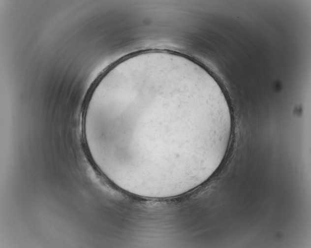 X0000111511032200908251108