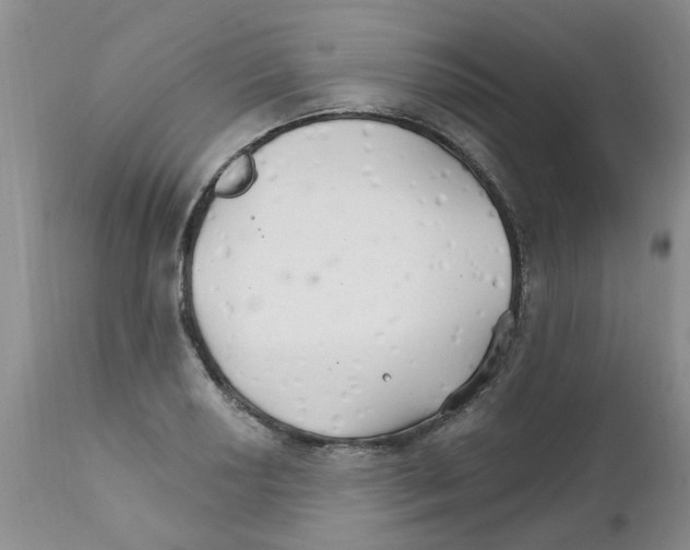 X0000111511034200908251108