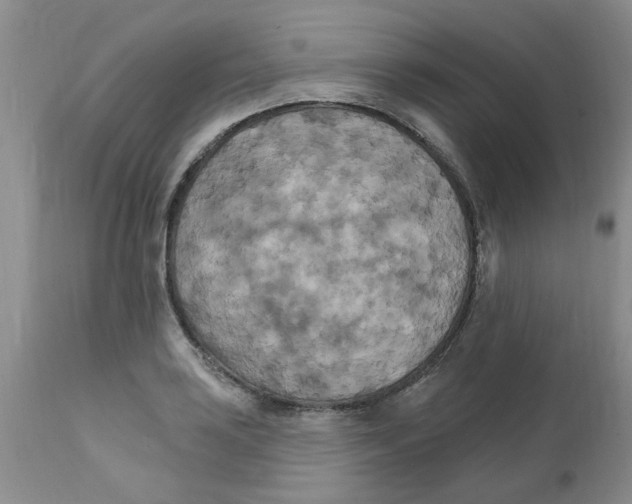 X0000111511035200908251108