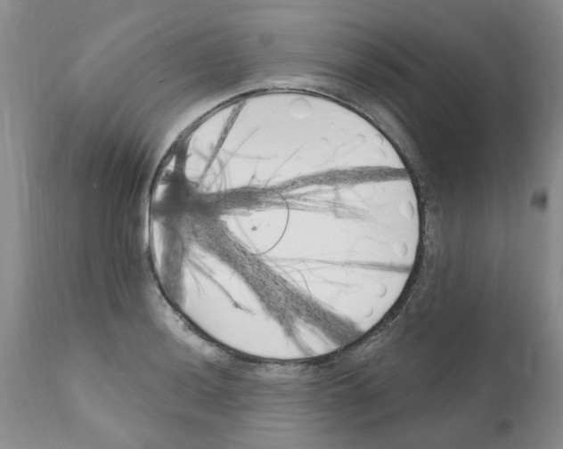 X0000111511036200908251108