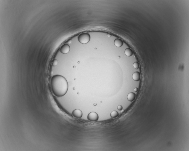 X0000111511038200908251108