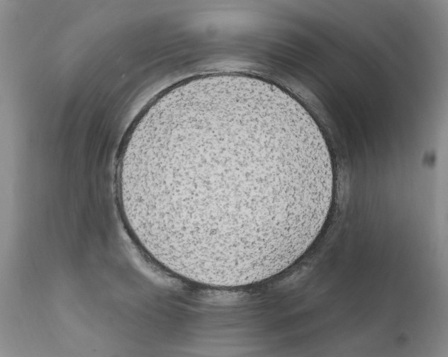 X0000111511039200908251108