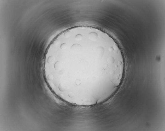 X0000111511040200908251108