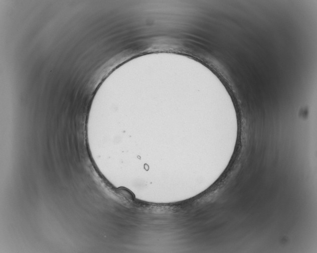 X0000111511041200908251108