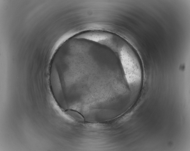 X0000111511045200908251108