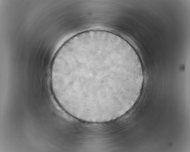 X0000111511048200908251108