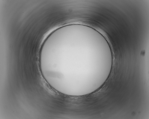 X0000111511051200908251108