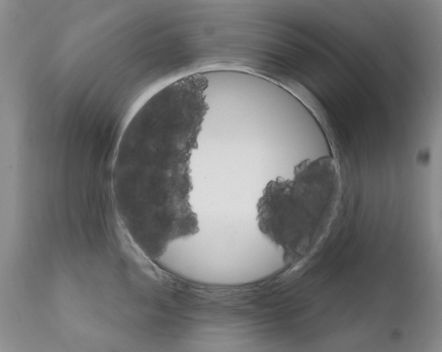 X0000111511052200908251108