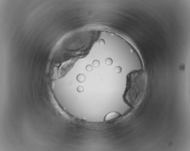 X0000111511053200908251108